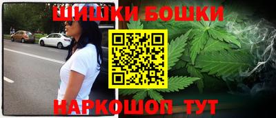дмт Славгород