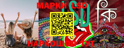 шишки Сланцы