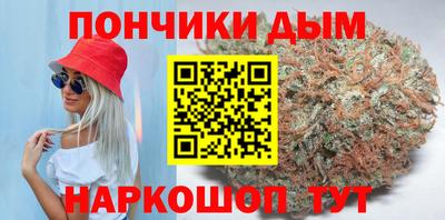 шишки Сланцы