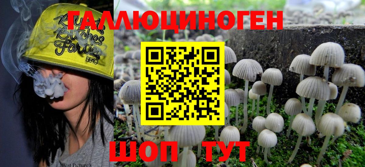 Псилоцибиновые грибы ЛСД Саранск
