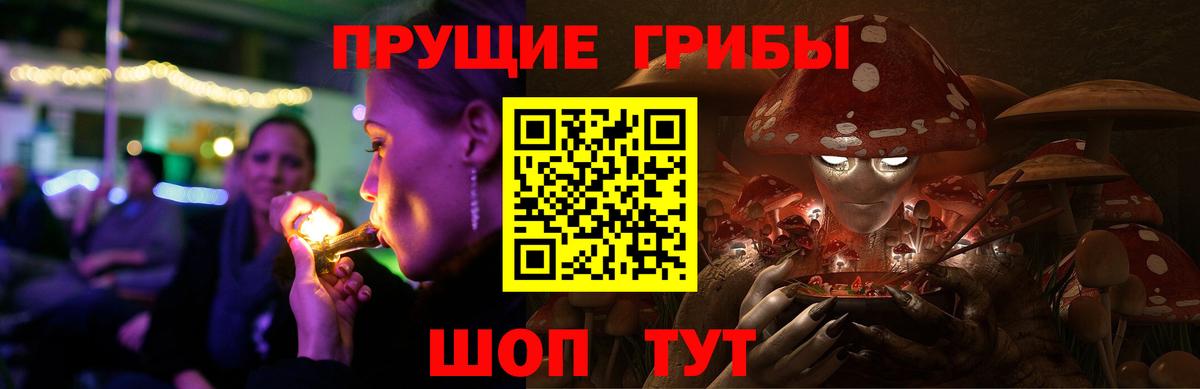 Саранск  Галлюциногенные грибы GOLDEN TEACHER  Вход с VPN  Галлюциногенные грибы GOLDEN TEACHER 